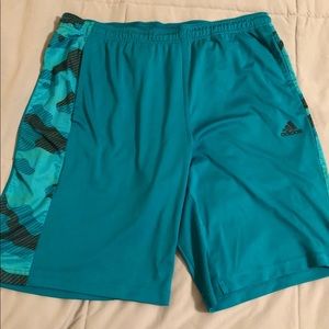 Adidas Climacool Shorts.